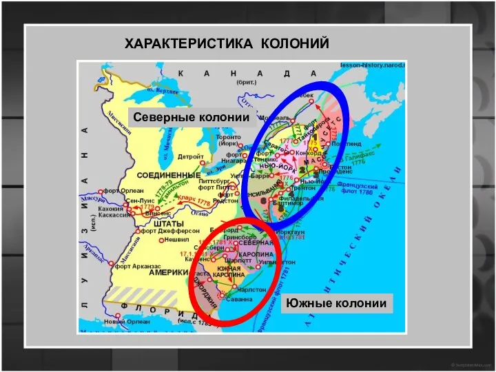 ХАРАКТЕРИСТИКА КОЛОНИЙ Северные колонии Южные колонии