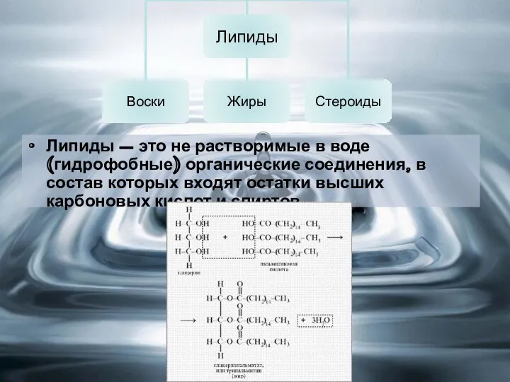 Липиды – это не растворимые в воде (гидрофобные) органические соединения, в