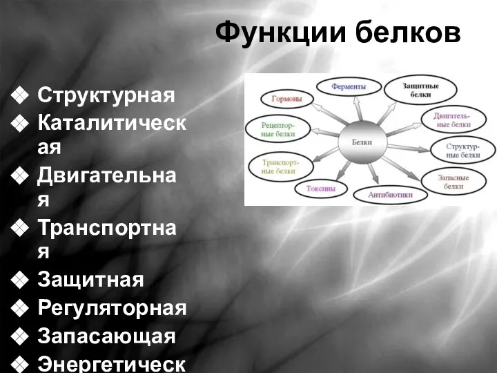 Функции белков Структурная Каталитическая Двигательная Транспортная Защитная Регуляторная Запасающая Энергетическая Рецепторная