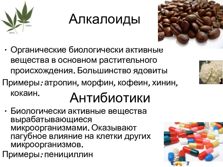 Алкалоиды Органические биологически активные вещества в основном растительного происхождения. Большинство ядовиты