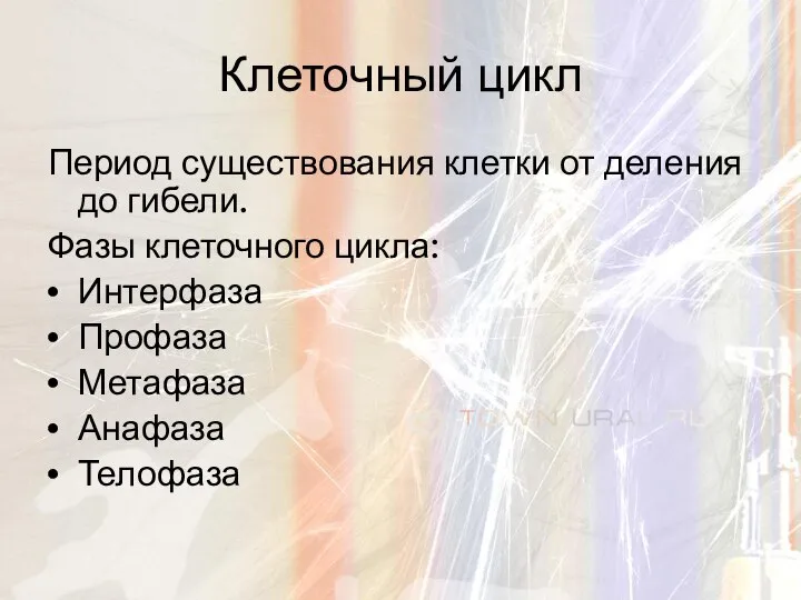 Клеточный цикл Период существования клетки от деления до гибели. Фазы клеточного