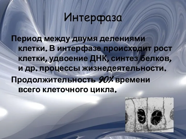 Интерфаза Период между двумя делениями клетки. В интерфазе происходит рост клетки,