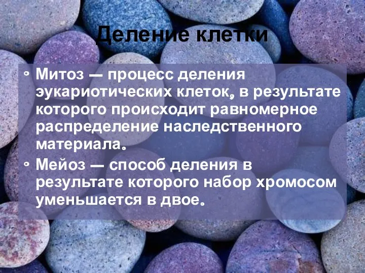 Деление клетки Митоз – процесс деления эукариотических клеток, в результате которого