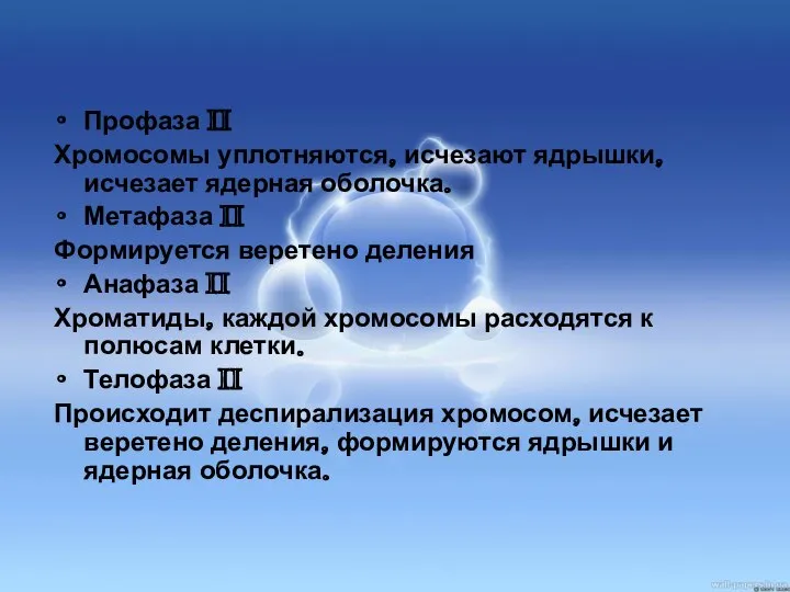 Профаза II Хромосомы уплотняются, исчезают ядрышки, исчезает ядерная оболочка. Метафаза II