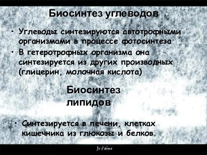 Биосинтез углеводов Углеводы синтезируются автотрофными организмами в процессе фотосинтеза В гетеротрофных