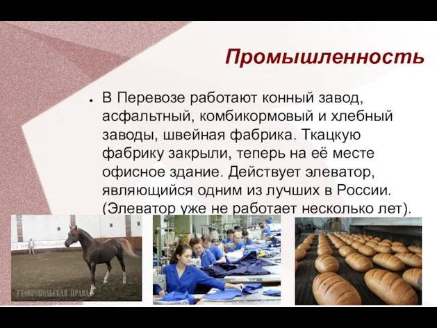 Промышленность В Перевозе работают конный завод, асфальтный, комбикормовый и хлебный заводы,