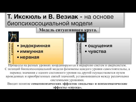 Т. Икскюль и В. Везиак - на основе биопсихосоциальной модели Модель