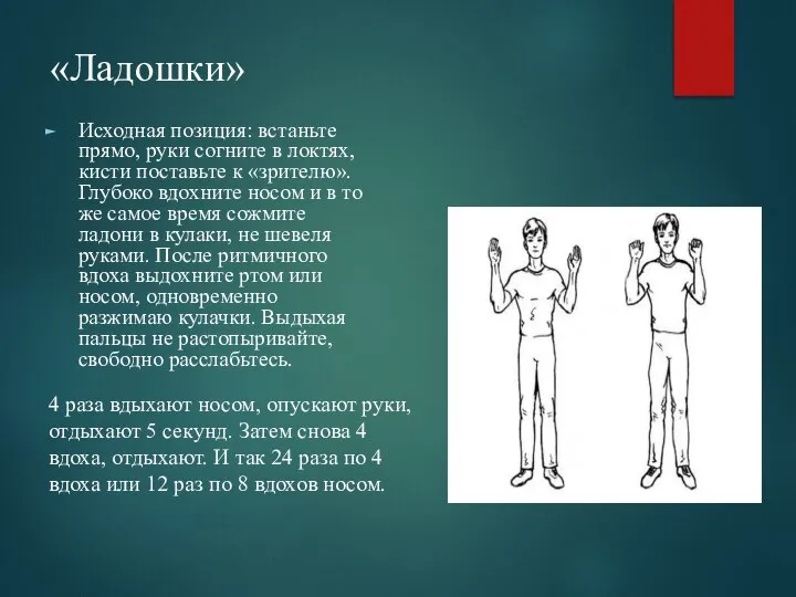 «Ладошки» Исходная позиция: встаньте прямо, руки согните в локтях, кисти поставьте