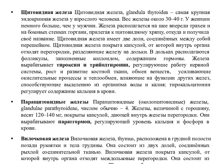 Щитовидная железа Щитовидная железа, glandula thyroidea – самая крупная эндокринная железа