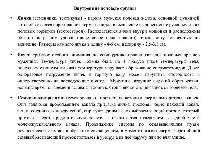 Внутренние половые органы Яички (семенники, тестикулы) - парная мужская половая железа,