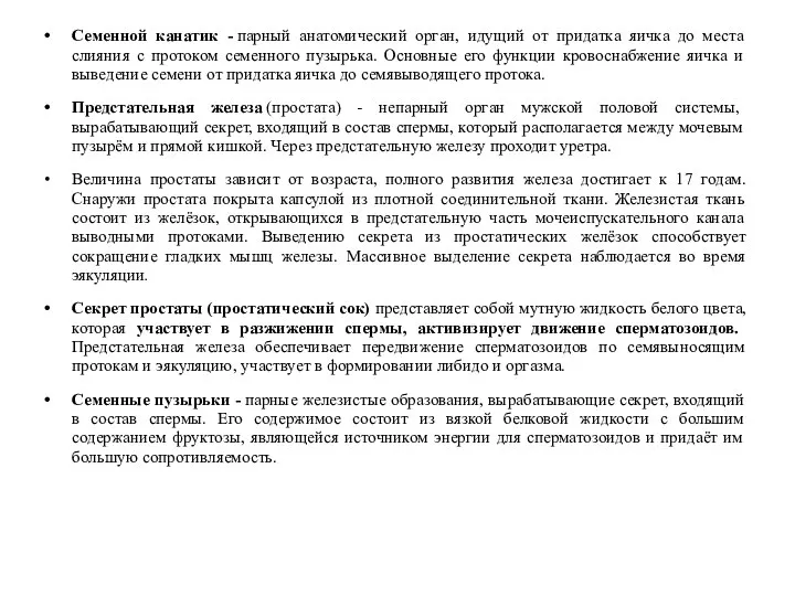 Семенной канатик - парный анатомический орган, идущий от придатка яичка до