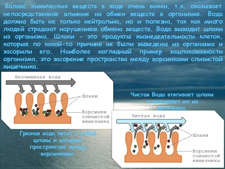 Баланс химических веществ в воде очень важен, т.к. оказывает непосредственное влияние