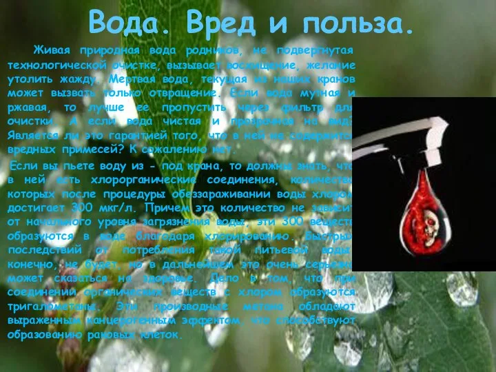 Вода. Вред и польза. Живая природная вода родников, не подвергнутая технологической