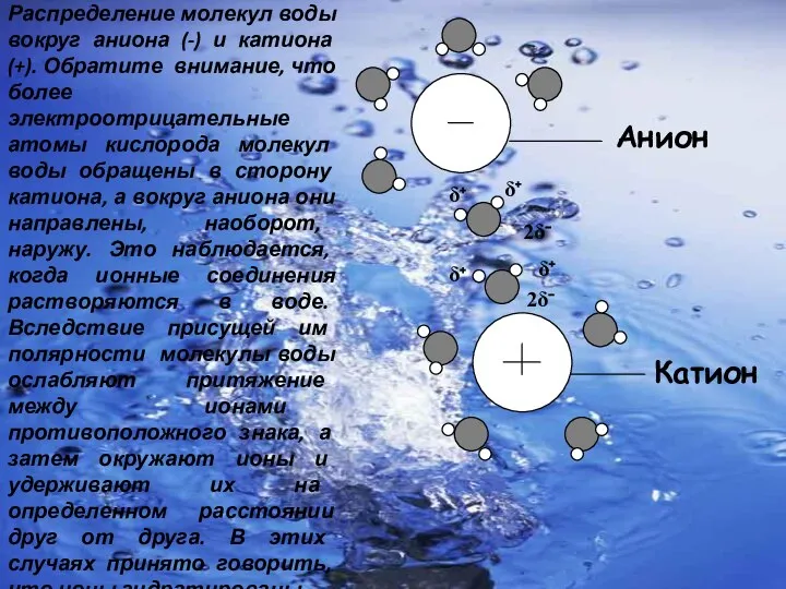 Анион δ⁺ δ⁺ 2δ⁻ Катион δ⁺ δ⁺ 2δ⁻ Распределение молекул воды