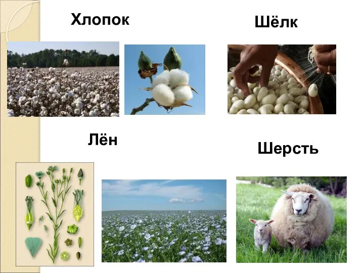 Хлопок Лён Шерсть Шёлк