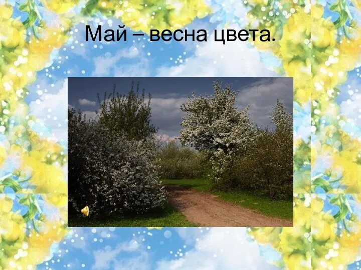 Май – весна цвета.