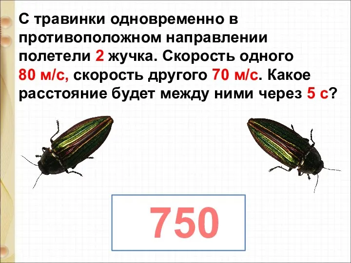 С травинки одновременно в противоположном направлении полетели 2 жучка. Скорость одного