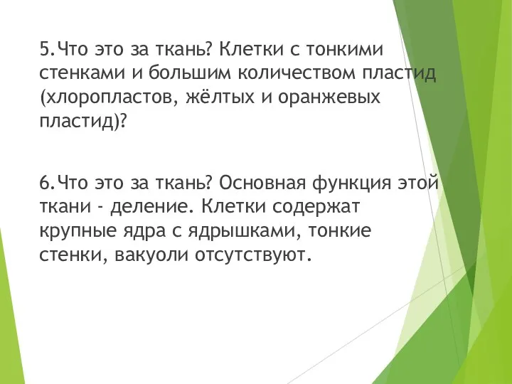 5.Что это за ткань? Клетки с тонкими стенками и большим количеством