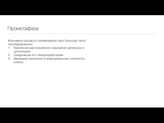 Прометафаза Ключевые процессы прометафазы идут большей часть последовательно: Хаотичное расположение и