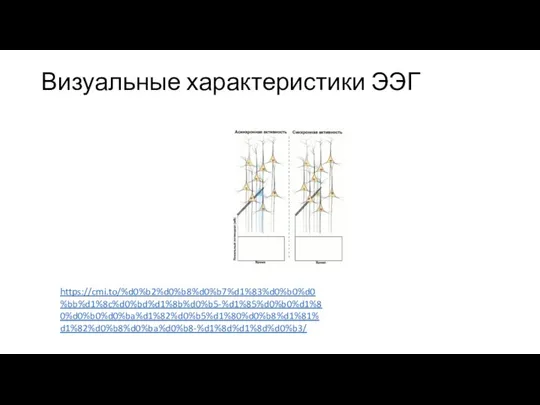 Визуальные характеристики ЭЭГ https://cmi.to/%d0%b2%d0%b8%d0%b7%d1%83%d0%b0%d0%bb%d1%8c%d0%bd%d1%8b%d0%b5-%d1%85%d0%b0%d1%80%d0%b0%d0%ba%d1%82%d0%b5%d1%80%d0%b8%d1%81%d1%82%d0%b8%d0%ba%d0%b8-%d1%8d%d1%8d%d0%b3/