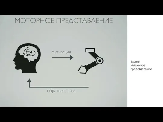 Важно мышечное представление