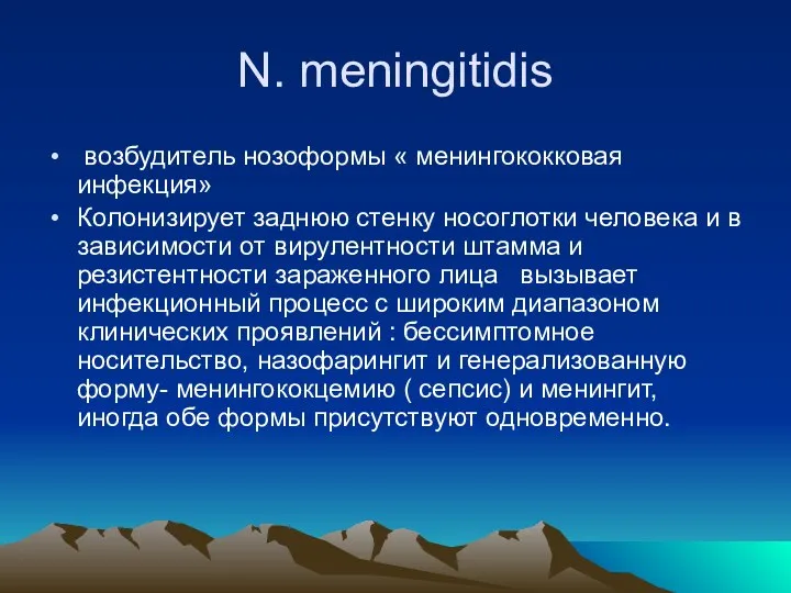 N. meningitidis возбудитель нозоформы « менингококковая инфекция» Колонизирует заднюю стенку носоглотки