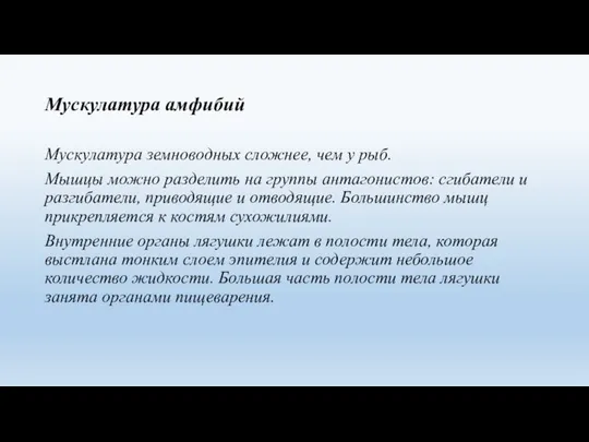 Мускулатура амфибий Мускулатура земноводных сложнее, чем у рыб. Мышцы можно разделить