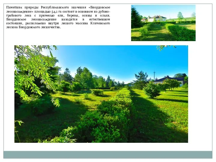 Памятник природы Республиканского значения «Биордовское лесонасаждение» площадью 54,1 га состоит в