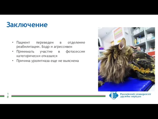 Заключение Пациент переведен в отделение реабилитации. Бодр и агрессивен Принимать участие