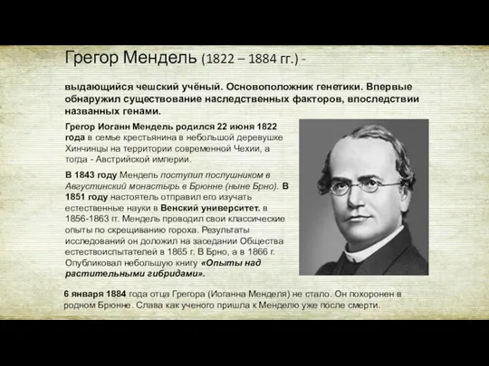 Грегор Мендель (1822 – 1884 гг.) - выдающийся чешский учёный. Основоположник