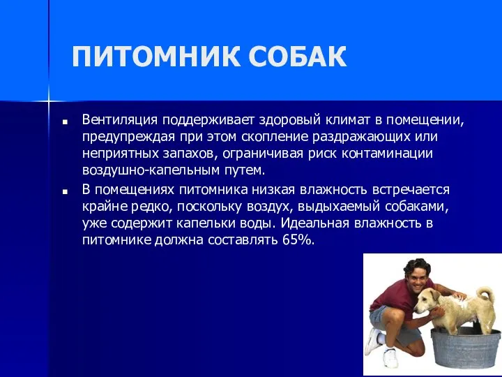 ПИТОМНИК СОБАК Вентиляция поддерживает здоровый климат в помещении, предупреждая при этом