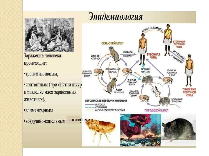 . способами