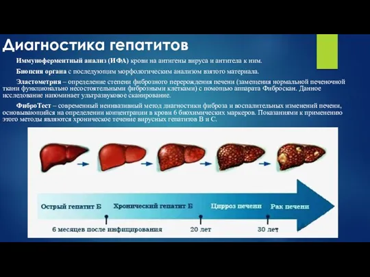 Диагностика гепатитов Иммуноферментный анализ (ИФА) крови на антигены вируса и антитела