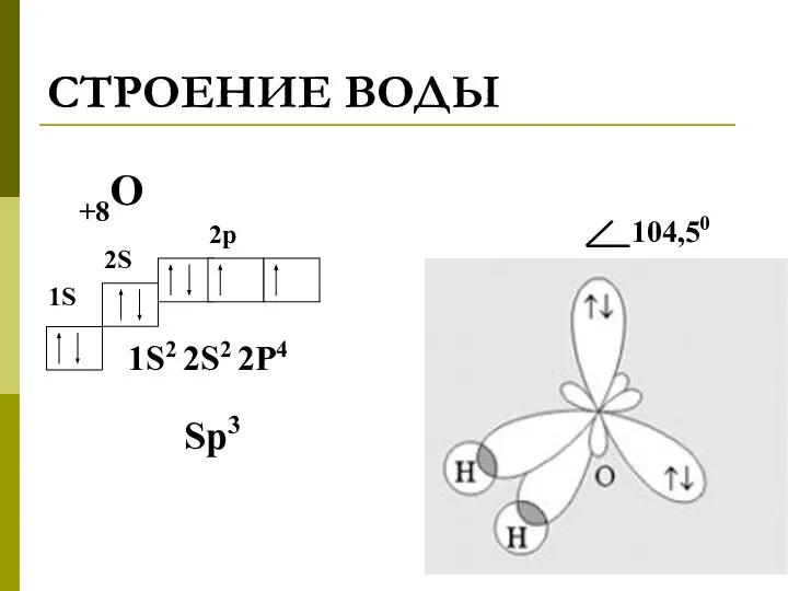 СТРОЕНИЕ ВОДЫ +8О 1S2 2S2 2P4 1S 2S 2p Sp3