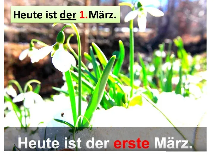 Heute ist der 1.März.