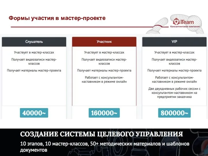 Формы участия в мастер-проекте