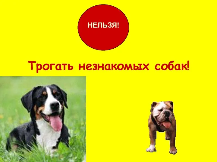 Трогать незнакомых собак! НЕЛЬЗЯ!