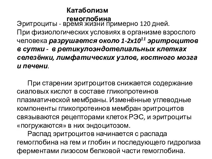 Эритроциты - время жизни примерно 120 дней. При физиологических условиях в