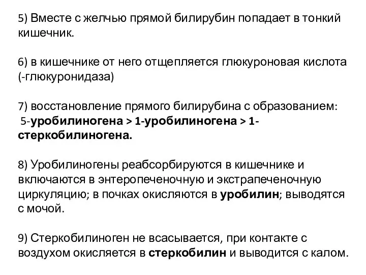 5) Вместе с желчью прямой билирубин попадает в тонкий кишечник. 6)