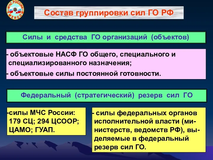 объектовые НАСФ ГО общего, специального и специализированного назначения; объектовые силы постоянной