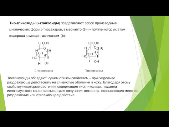 Тио-гликозиды (S-гликозиды) представляют собой производные циклических форм L-тиосахаров, в меркапто-(SH) –