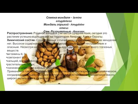 Семена миндаля – Semina amygdalarae Миндаль горький - Amygdalae amarus Сем.