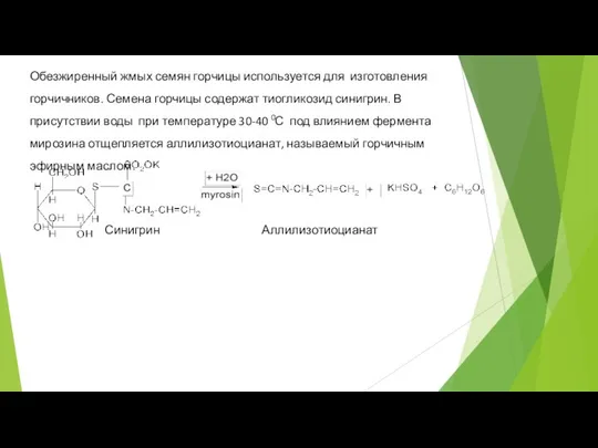 Обезжиренный жмых семян горчицы используется для изготовления горчичников. Семена горчицы содержат