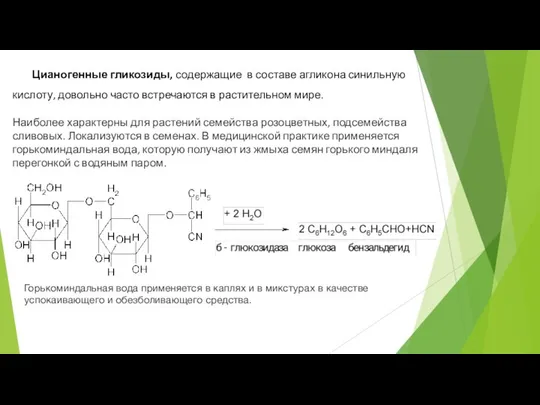 Цианогенные гликозиды, содержащие в составе агликона синильную кислоту, довольно часто встречаются