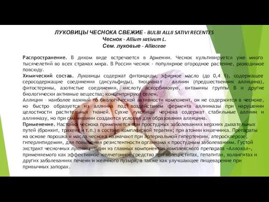 ЛУКОВИЦЫ ЧЕСНОКА СВЕЖИЕ - BULBI ALLII SATIVI RECENTES Чеснок - Allium