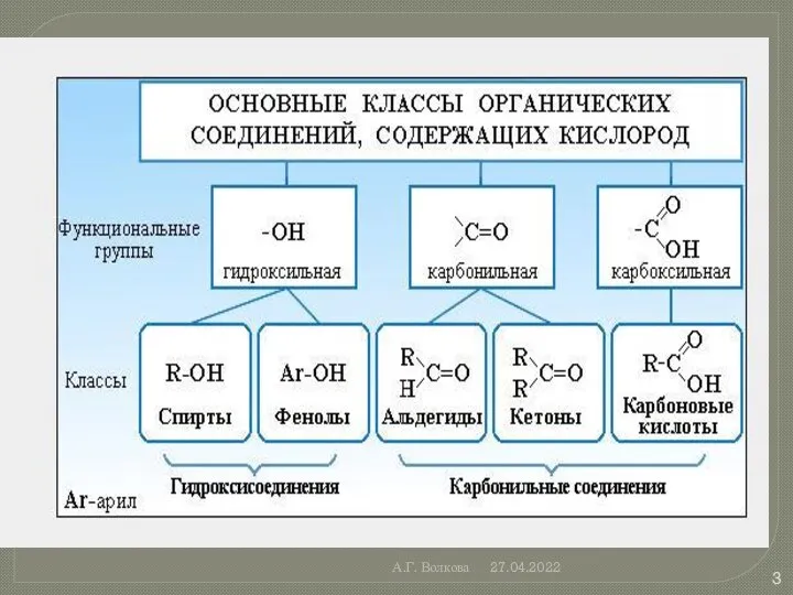 А.Г. Волкова 27.04.2022