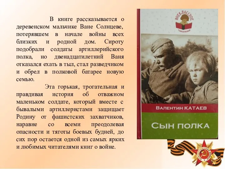 В книге рассказывается о деревенском мальчике Ване Солнцеве, потерявшем в начале