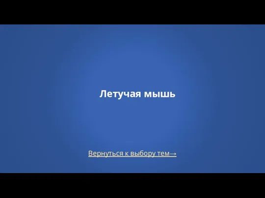 Вернуться к выбору тем→ Летучая мышь