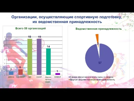 Организации, осуществляющие спортивную подготовку, их ведомственная принадлежность