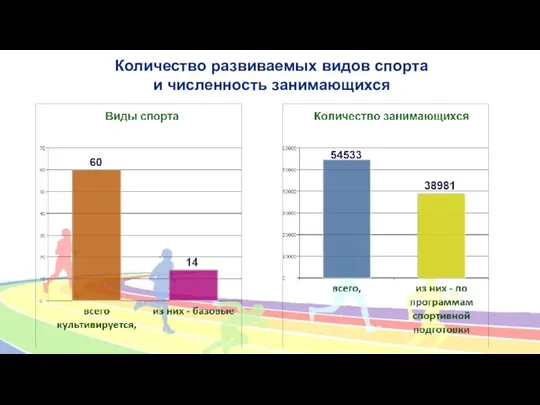 Количество развиваемых видов спорта и численность занимающихся